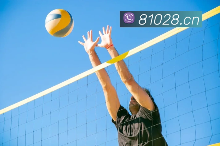 乐竞官方在线登录入口发展历程